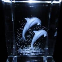 3D Laser-Kristallblock springende Delfine 5x5x8 cm