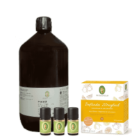 Primavera Öl Gute Laune Set inkl. Basisöl Mandeln und 3x äth. Öle Zitrone, Orange, Grapefruit