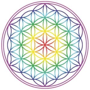 Aufkleber Set 4x4,5cm Blume des Lebens Regenbogen-Chakra transparent